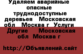 Удаляем аварийные, опасные, труднодоступные деревьея - Московская обл., Москва г. Услуги » Другие   . Московская обл.,Москва г.